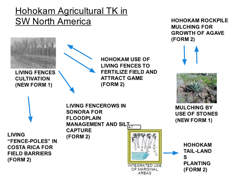 Traditional Knowledge (TK) system example 