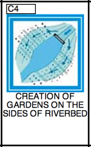 C4 traditional knowledge icon 