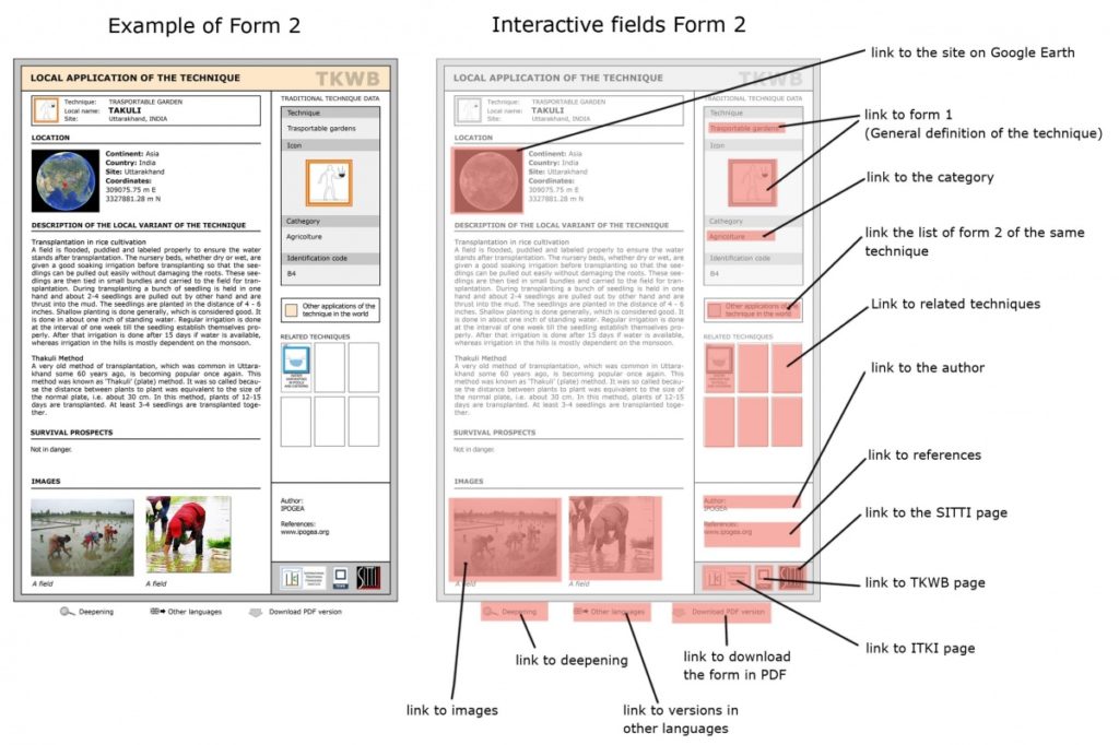 Example of form 2 