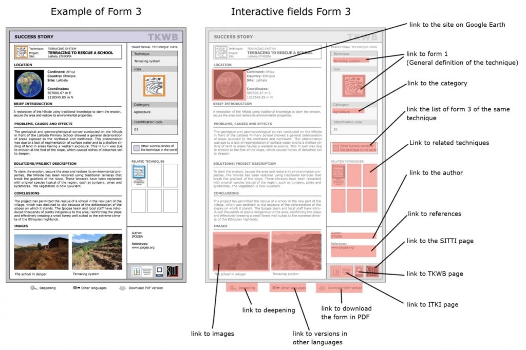 Example of form 3